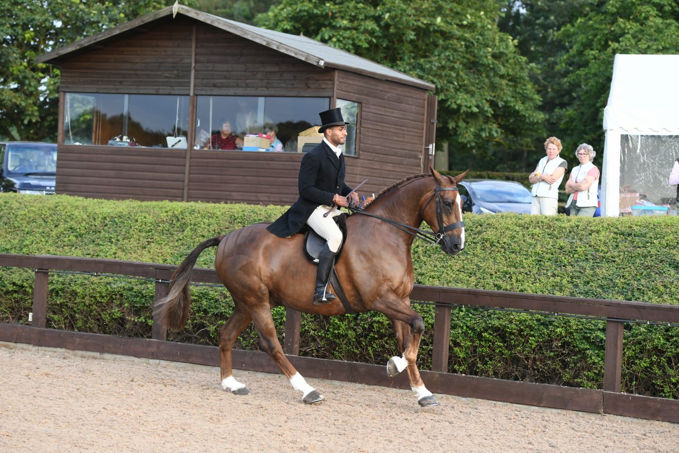 HorseNo40_HunterShow_PN19_36237-e1562585571525.jpg