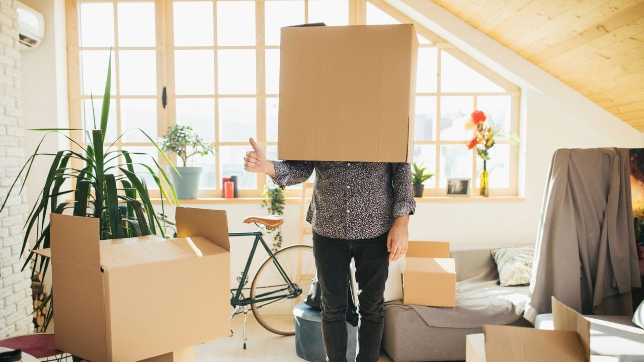 MoneyWireDaily — I'm a Retirement Editor, But My Parents' Estate Tripped Me Up with a Snake, a Gun and a Mystery Box