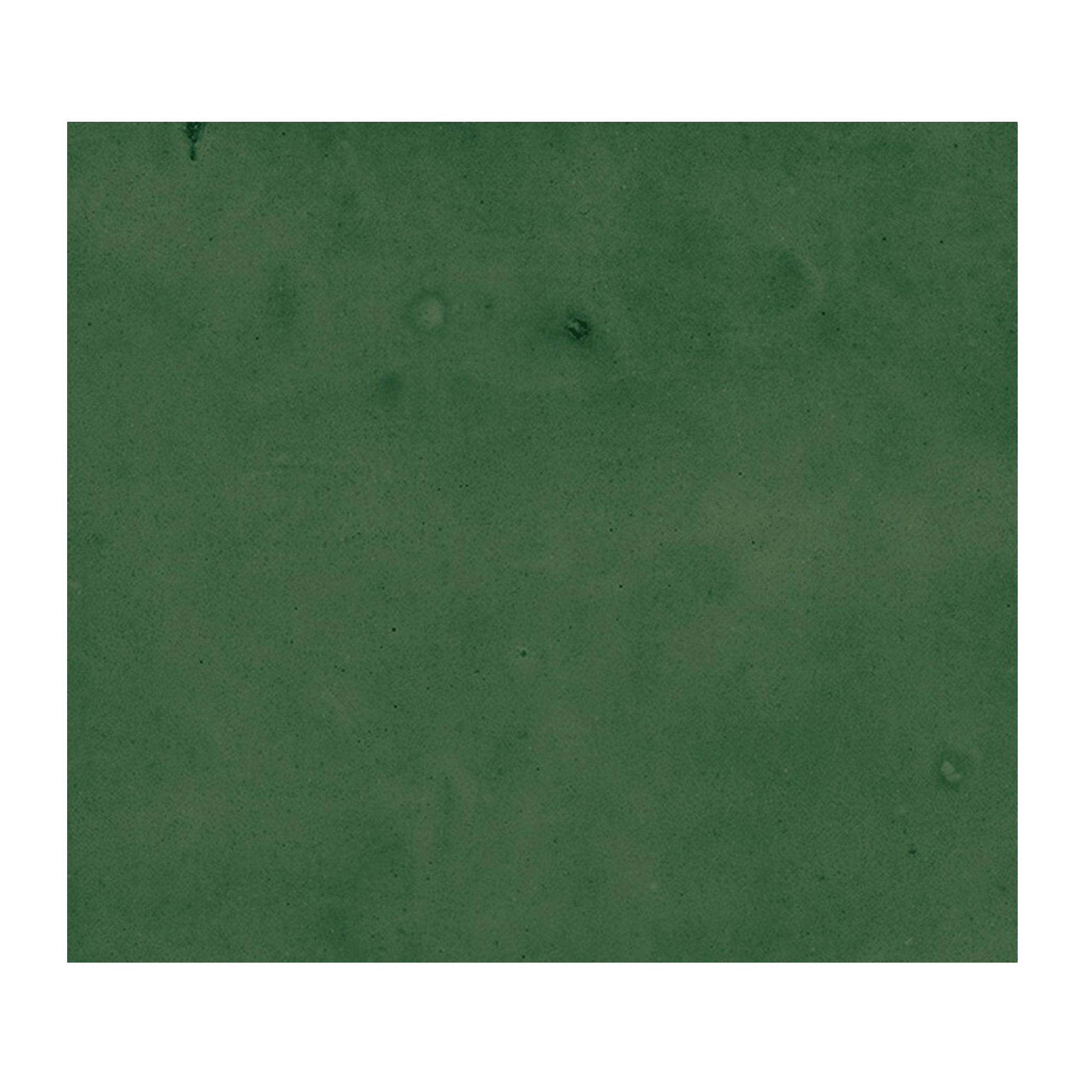 Topps Tiles Tanjin Forest Tile against a white background