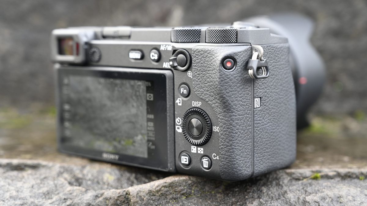Sony A6600
