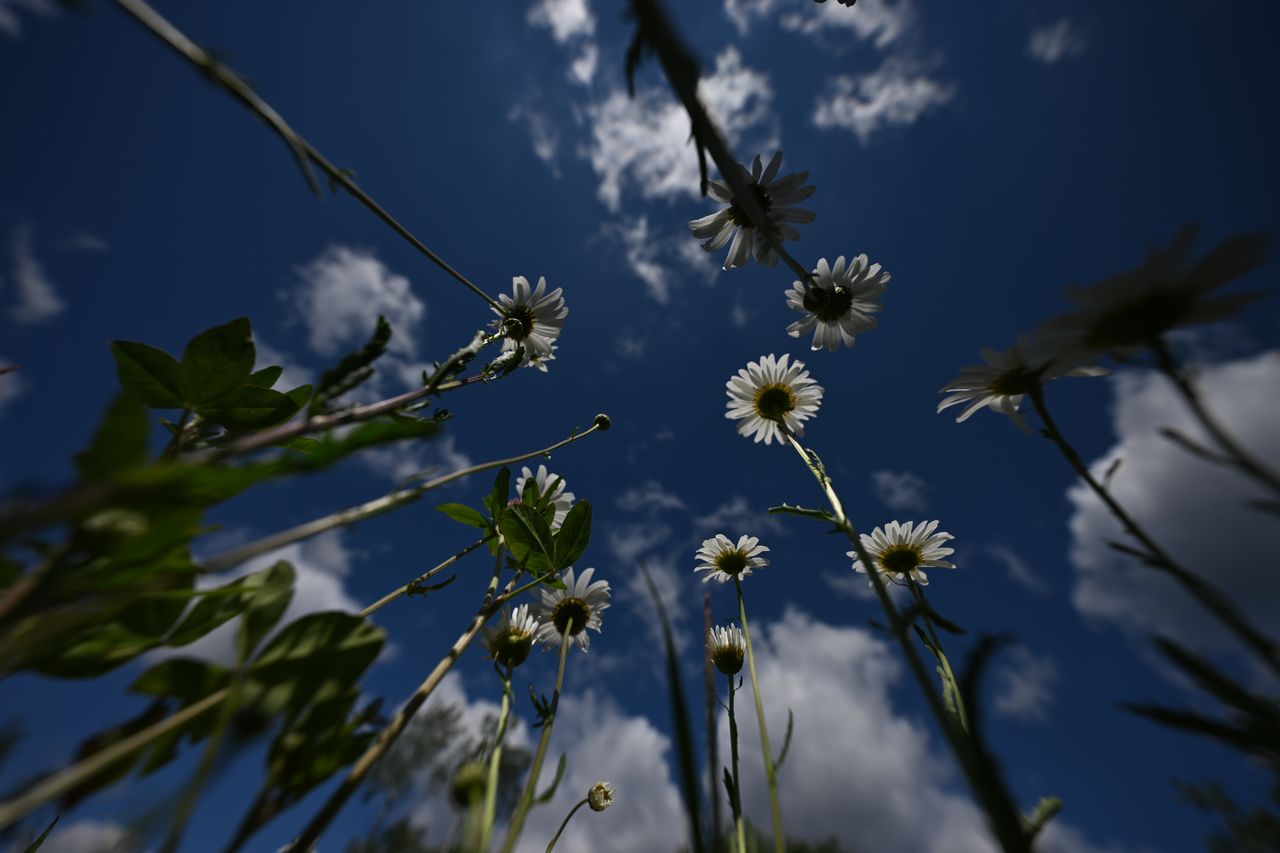 A sample image from the Tamron 12-20mm f/2.8