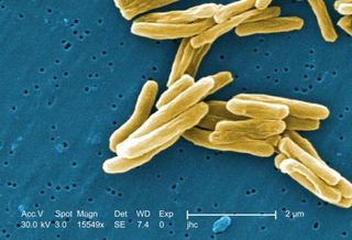 drug resistant microbes