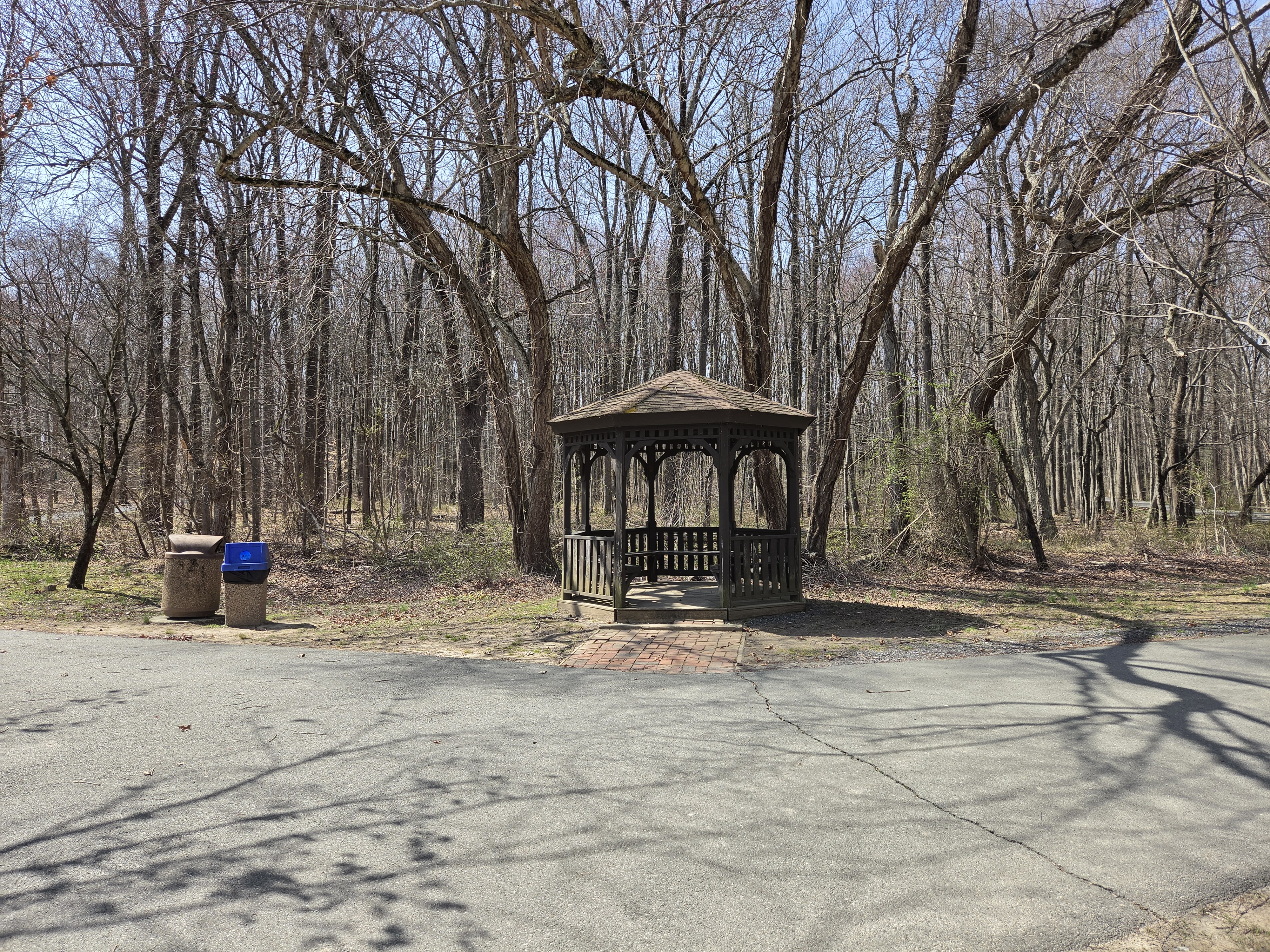 Samsung Galaxy S26 Plus camera samples