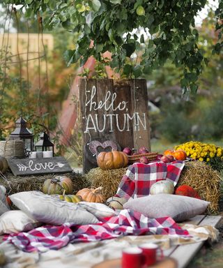 autumn picnic scene with painted signs