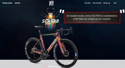 A screenshot of a webpage is shown depicting a bike, and beetle logo