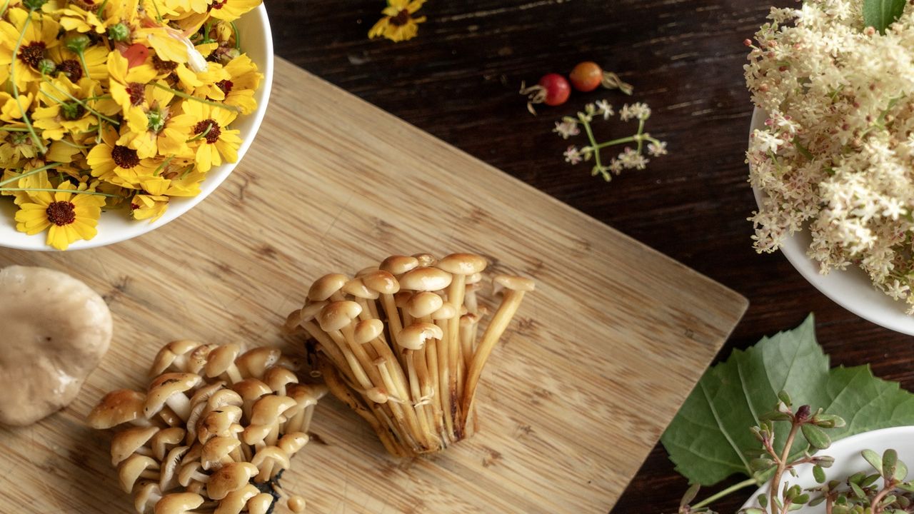 Table with wild mushrooms and a bowl of yellow petals on wood