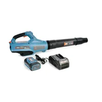 SENIX  58 Volt Max* Cordless Brushless Battery Leaf Blower