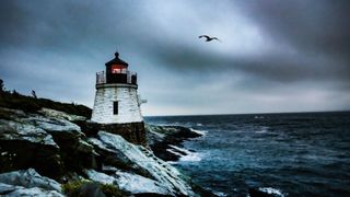 Bird flying on the coast of Rhode Island