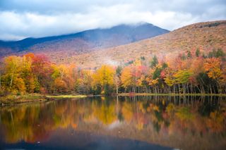 A hardwood forest at peak fall color reflects in Shadow Lake, north of Lincoln, New Hampshire, White Mountain National Forest.