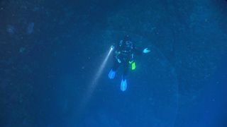 Diver looking at squid egg