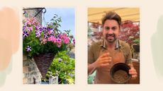 composite of hanging basket and screenshot of Ish's video with wool pellets