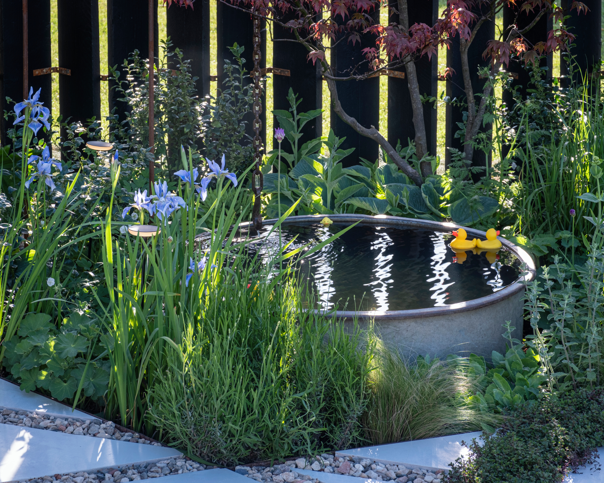 micropond water feature in a garden border with two rubber ducks floating
