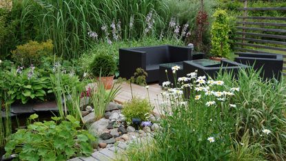 Edging plants: decking and pond with planting