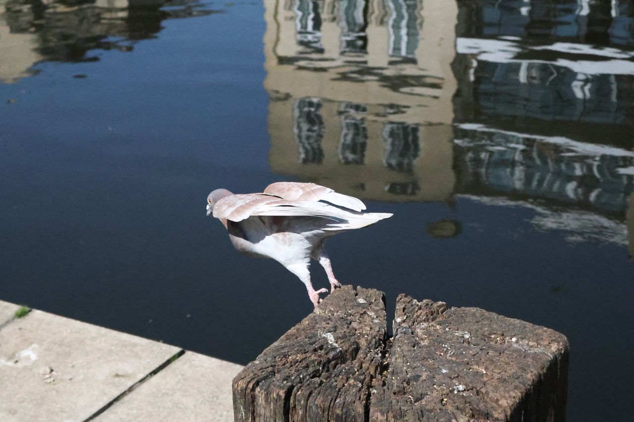 A photo taken on a Canon PowerShot V1 compact vlogging camera