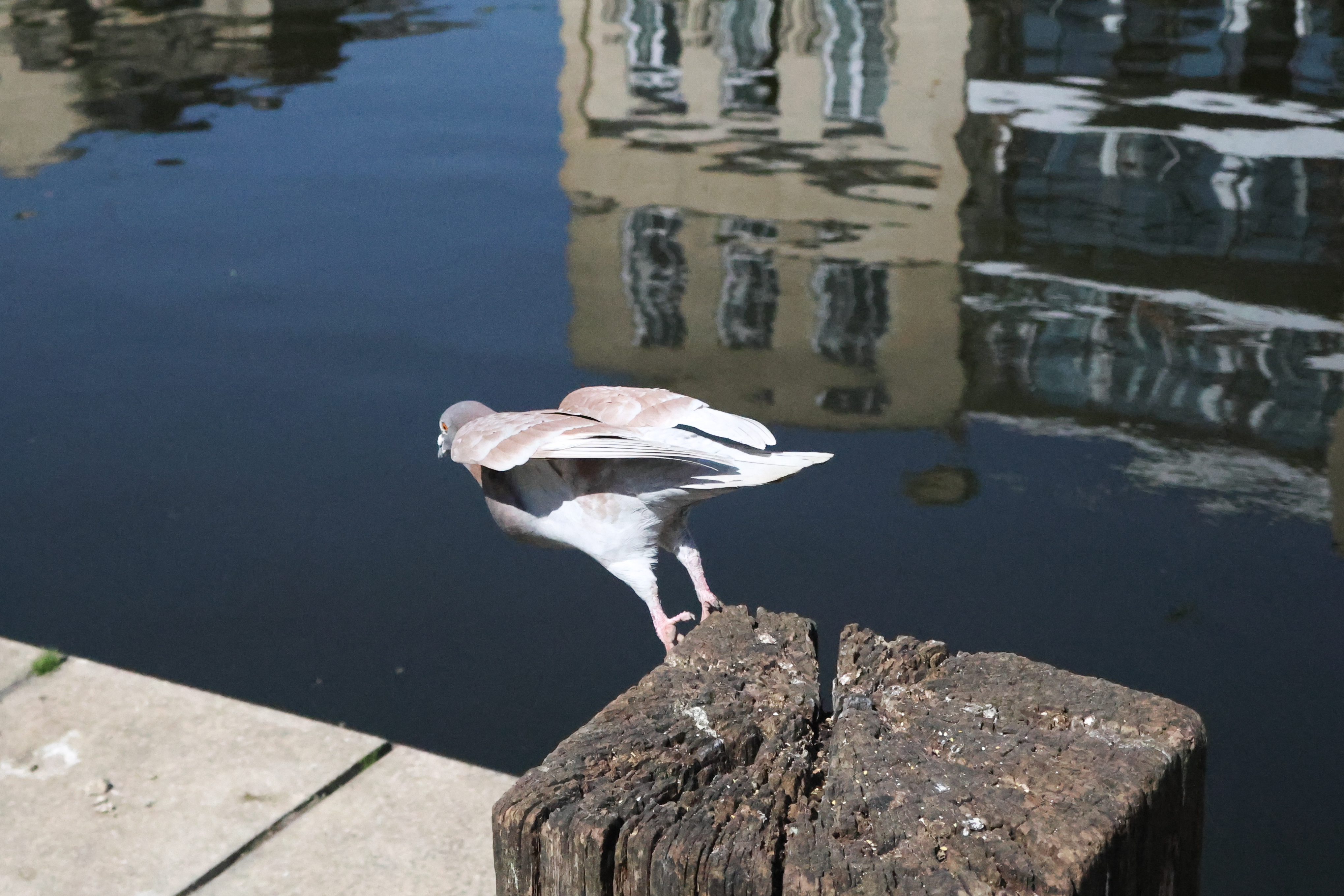 A photo taken on a Canon PowerShot V1 compact vlogging camera