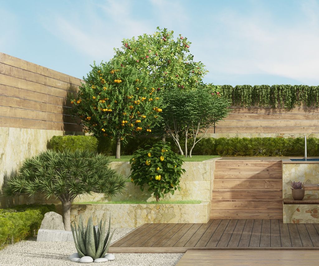 Best fruit trees for small gardens 8 compact varieties