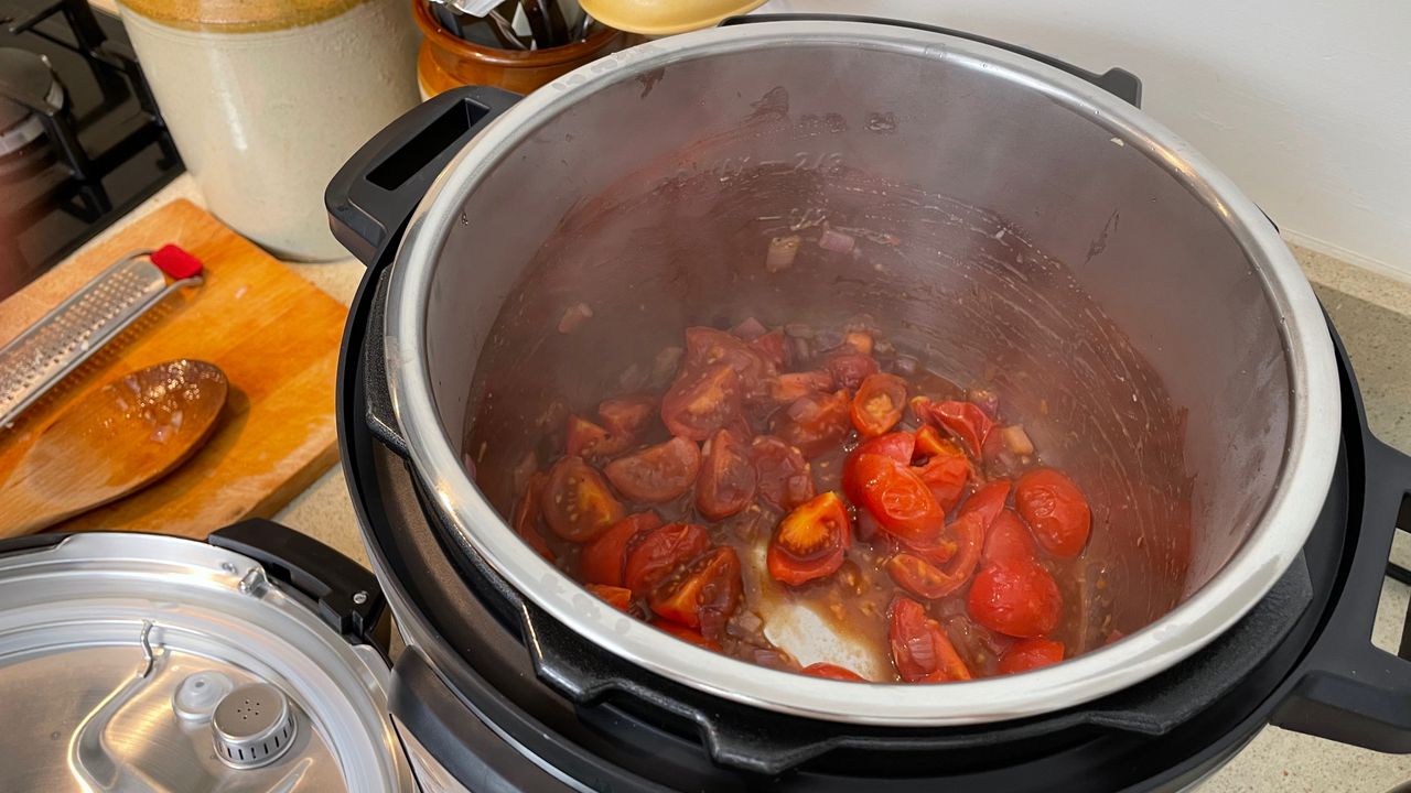 Instant Pot duo plus review