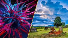 A close up of a spiky blue and pink cell against a blue background/Stone urns stand on a field in front of a cloudy sky.