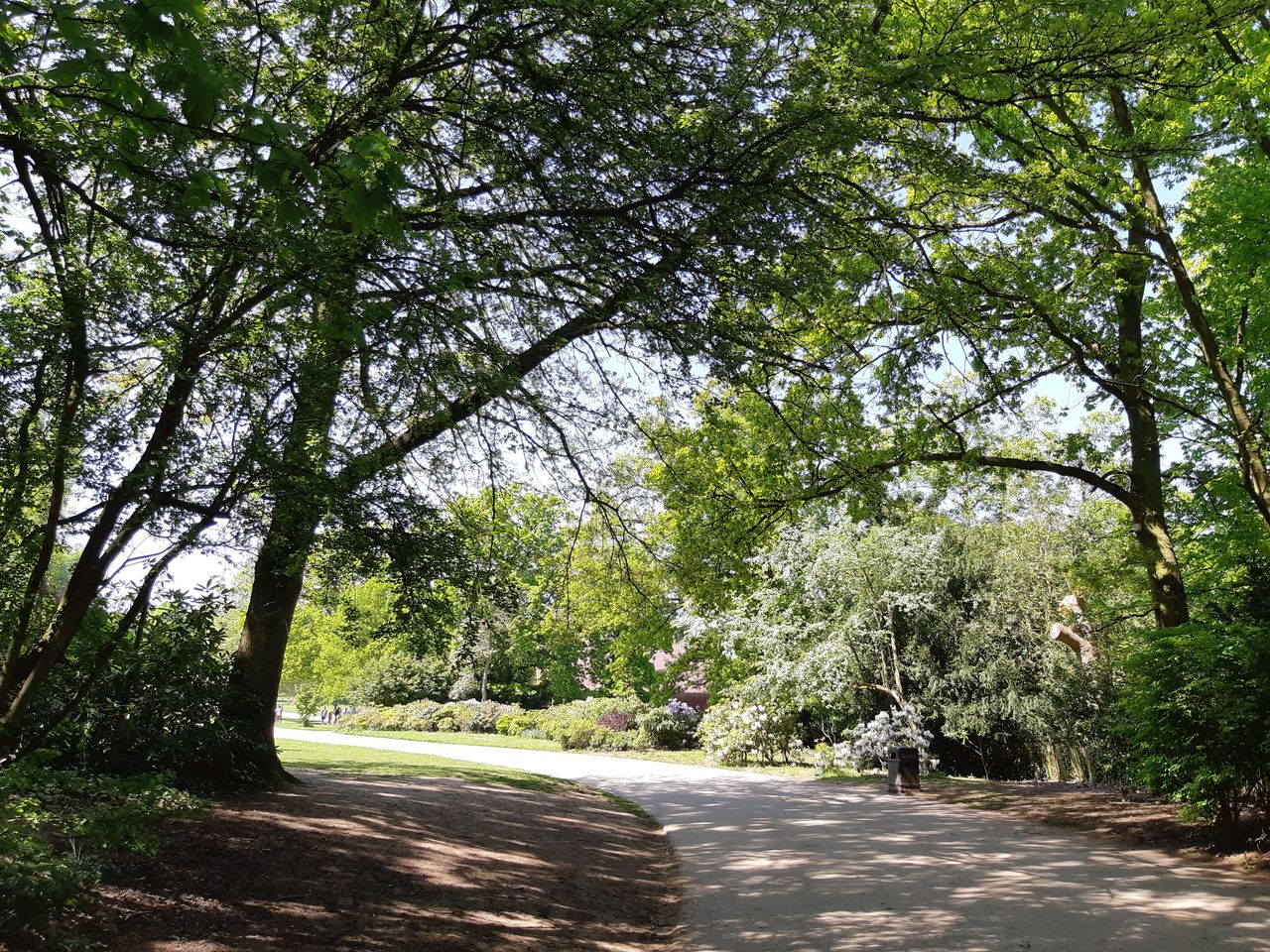 Auto HDR hasn&rsquo;t avoided blowing out all highlights, but we&rsquo;d rather this style than one that undersaturated trees in the foreground.