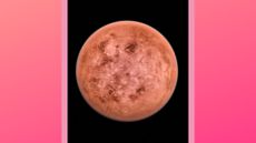 Venus the planet on a pink background, when is Venus out of retrograde