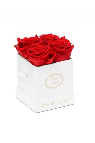 Venus ET Fleur Classic Le Petit Eternity Roses