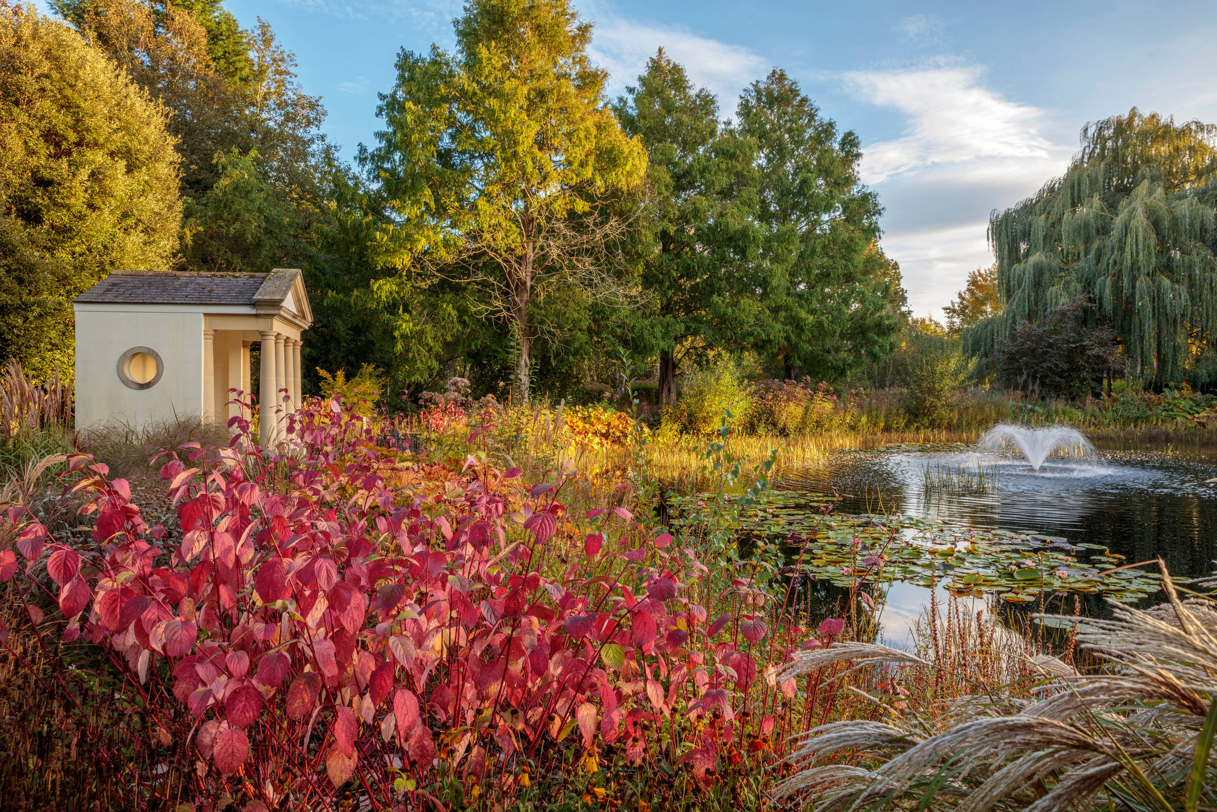 Garden at Littlethorpe Manor