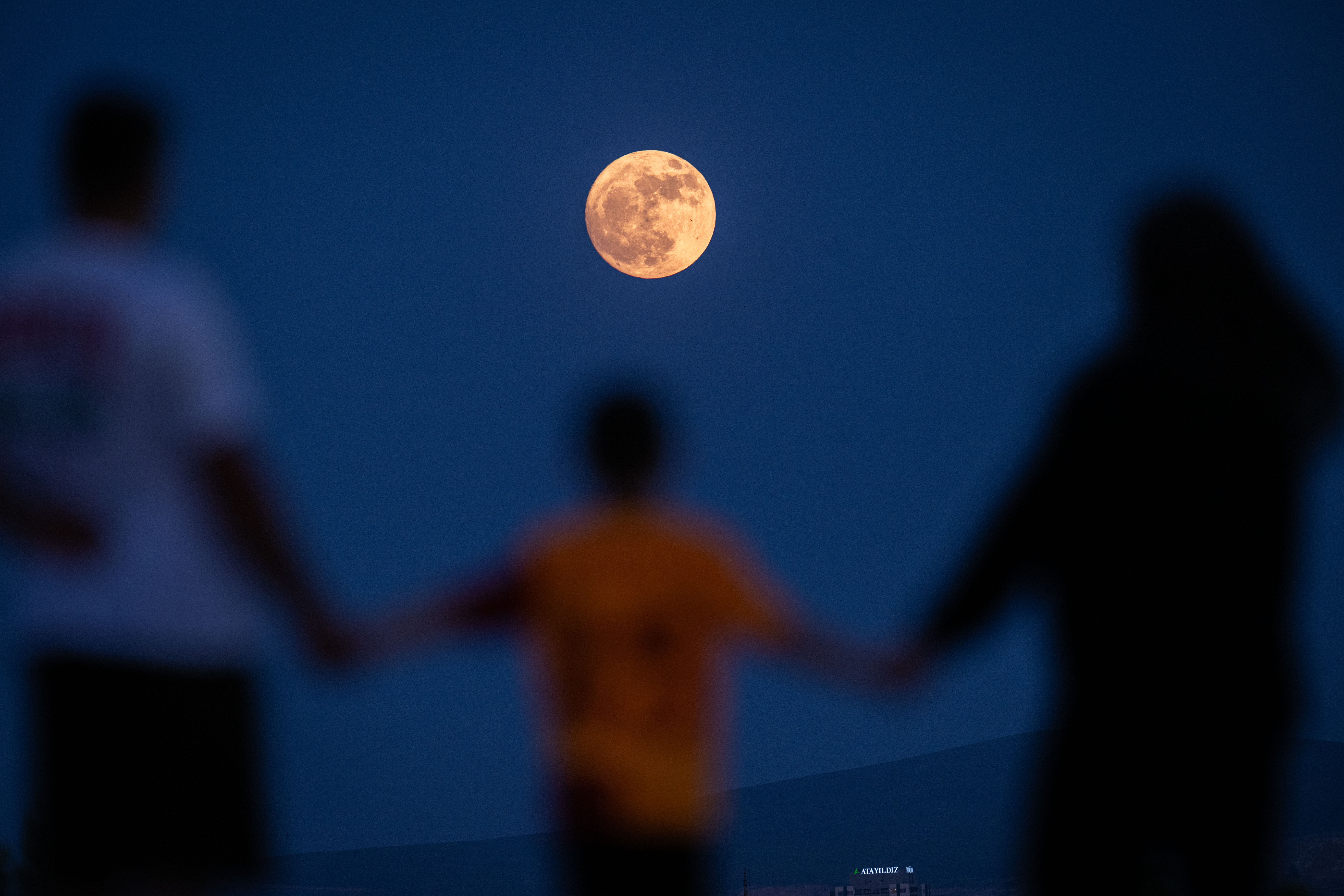 A photograph of the back of two adults and a child holding hands while looking at the full moon.