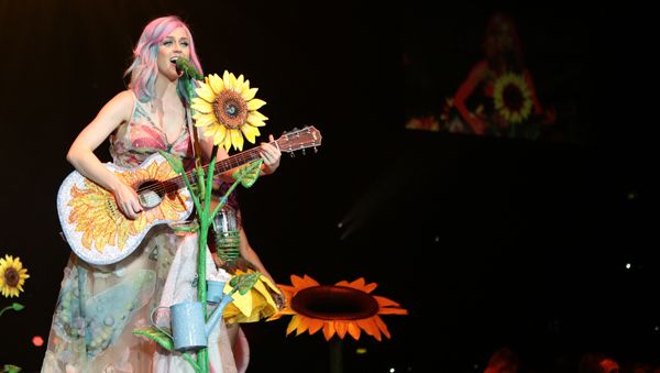 katy perry costume