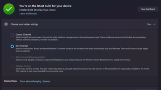 A settings page with four Insider channel options: Canary, Dev, Beta, Release.