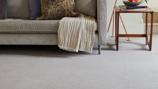 wool blend carpet in living room