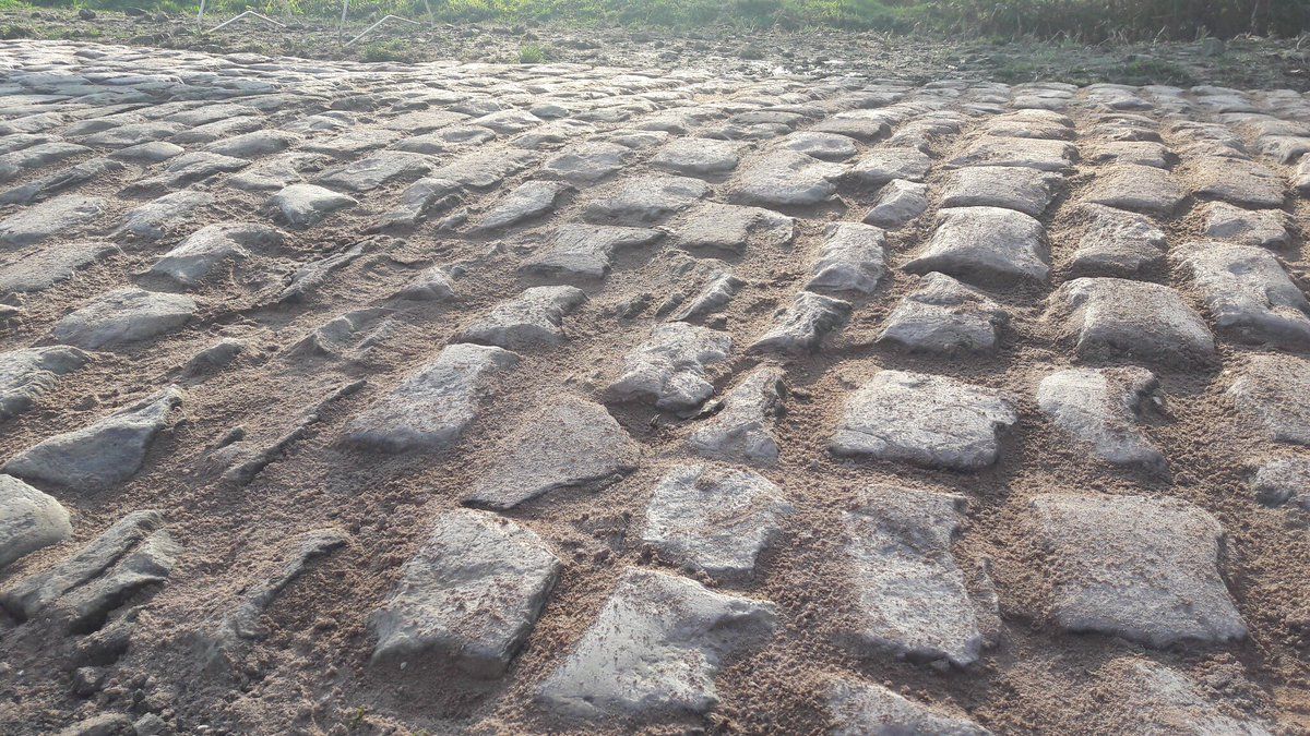 The cobblestones of the Forest of Arenberg filled with mortar