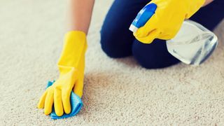 Spot treating carpet