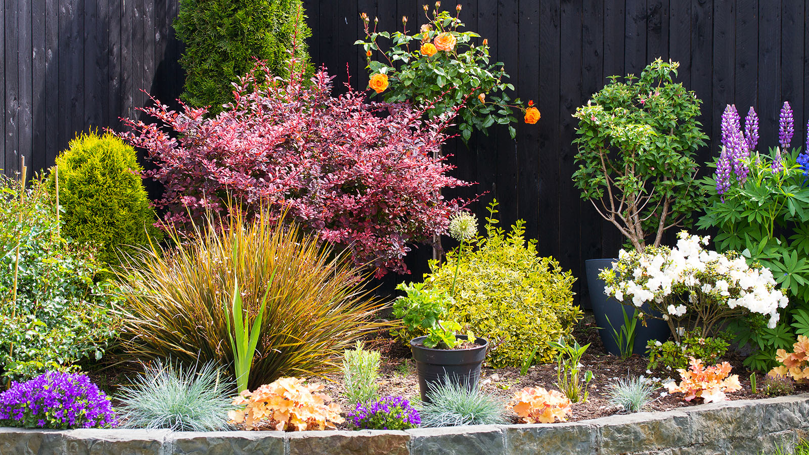 Fall garden border