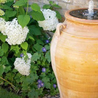 Terracotta water feature with grey pebbles at base and white hydrangea flowers