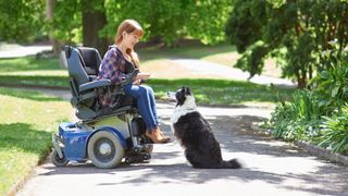 A woman in a wheelchair uses a treat to help train her dog in a city park