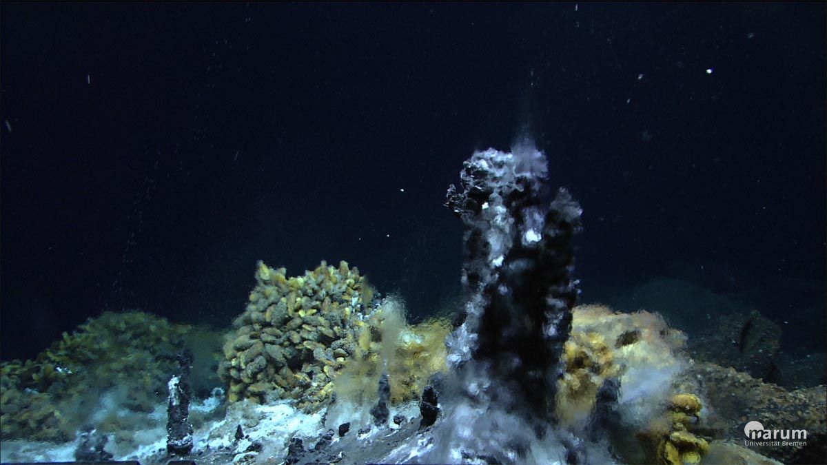 Black smoker hydrothermal vent life