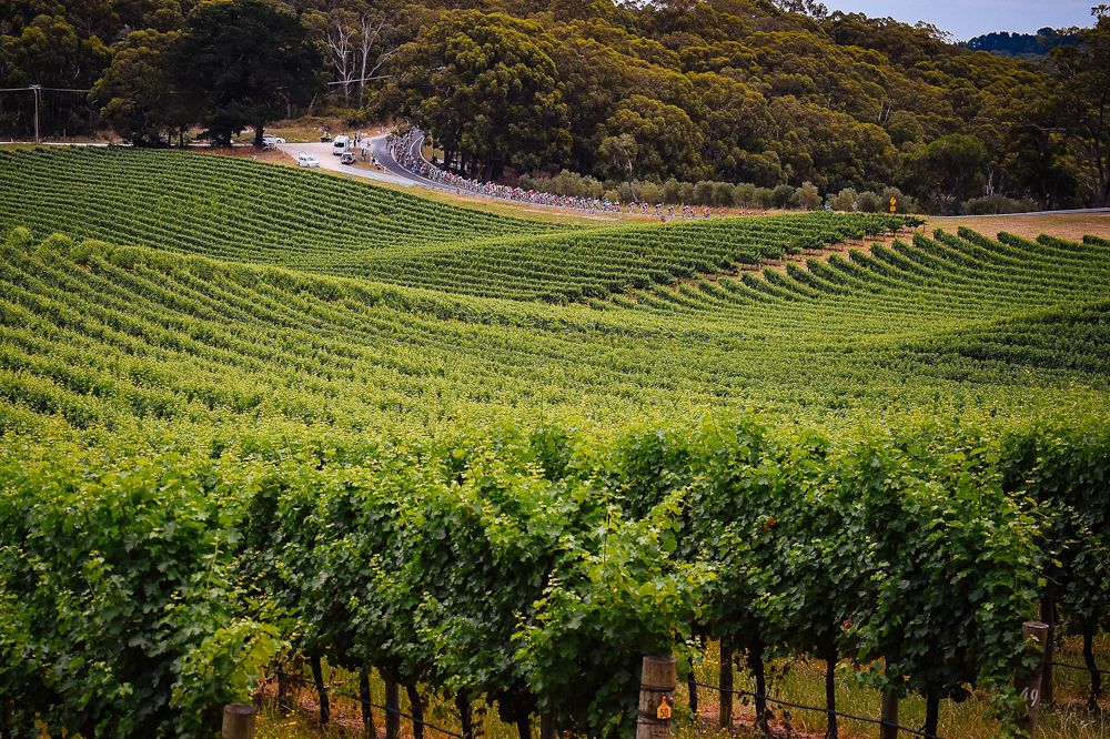 Scenery along the route of stage 3 at the Tour Down Under