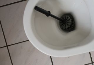 Image of toilet brush in toilet