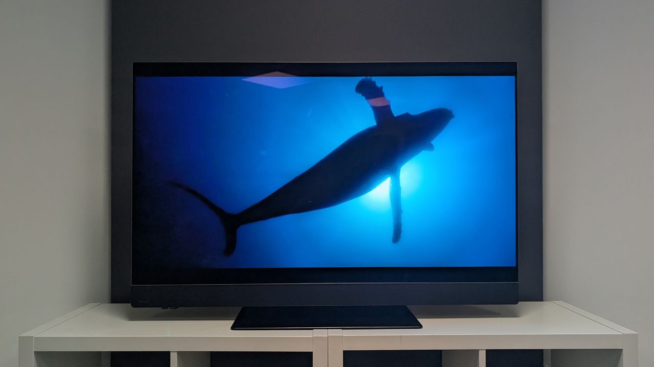 The Panasonic Z90B 48-inch OLED TV on a TV cabinet seen straight-on. On screen is a scene from Netflix's Our Oceans.