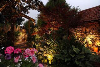 tropical Caribbean garden at night