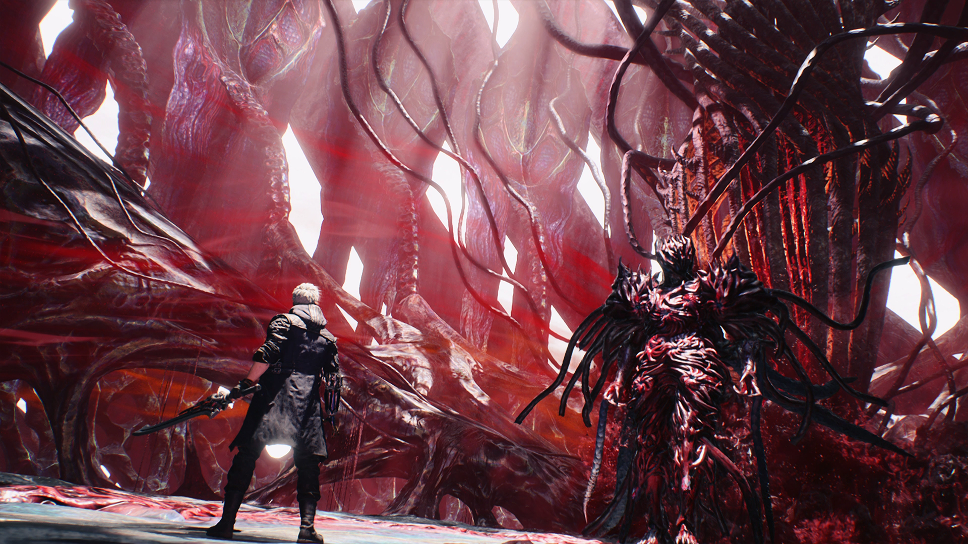 Revisión del interruptor DMC5 2