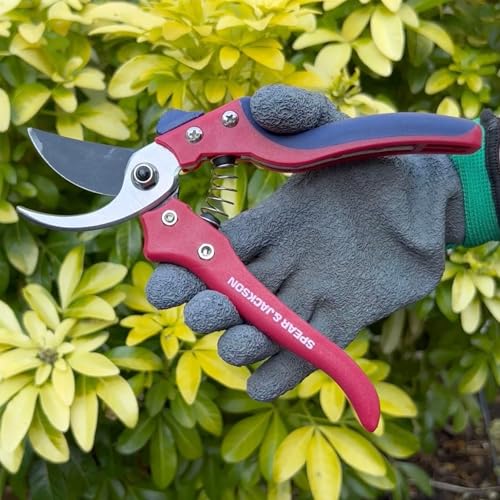 Spear &amp;amp; Jackson 7159bs Razorsharp Advantage Bypass Secateurs