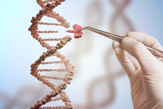 10 Amazing Things Scientists Just Did with CRISPR | Live Science