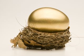 Large egg in a small nest. - stock photo