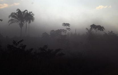 Previously uncontacted tribe returns to rainforest with flu