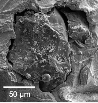 A microscope's view of a grain of lunar dust.