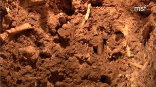 an image of hominid bones from a cave site dubbed Pit of Bones