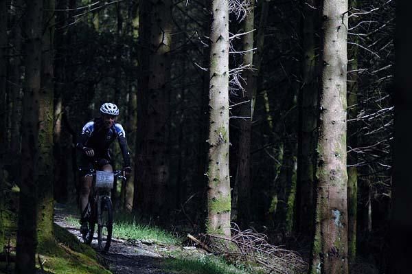 Zipping through the woods.
