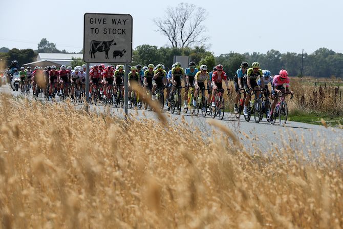 The peloton makes its way from Nagambie to Shepparton on stage 1 of the 2020 Herald Sun Tour