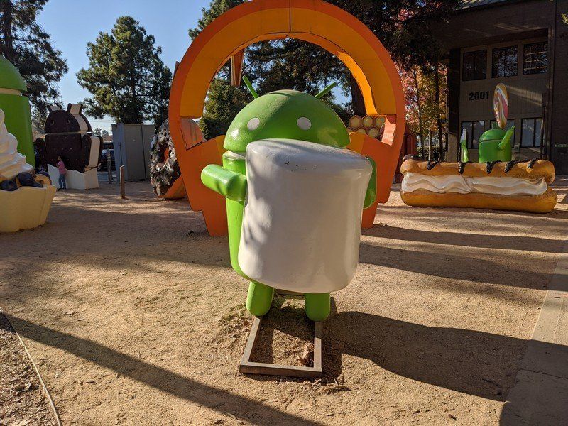 Pixel 4 XL camera sample